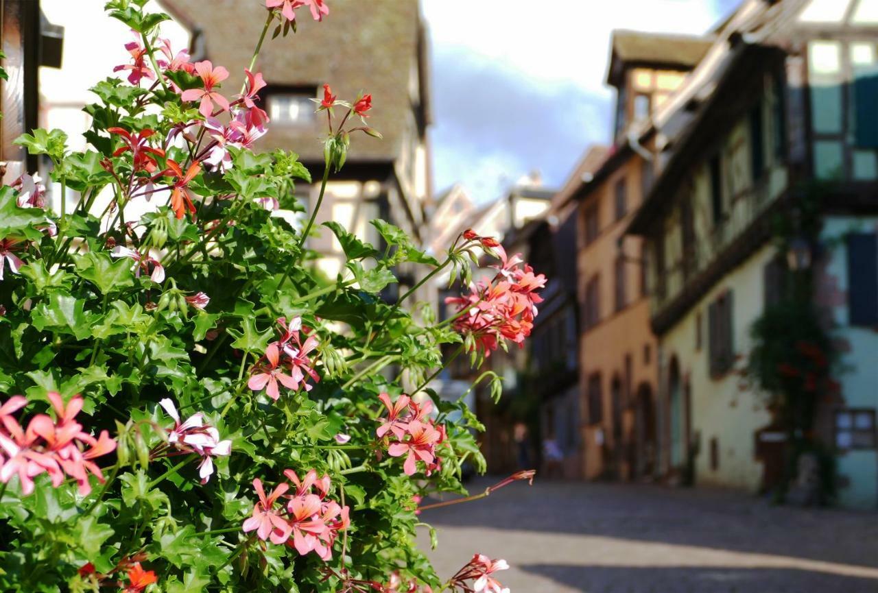 L'agape Apartment Riquewihr